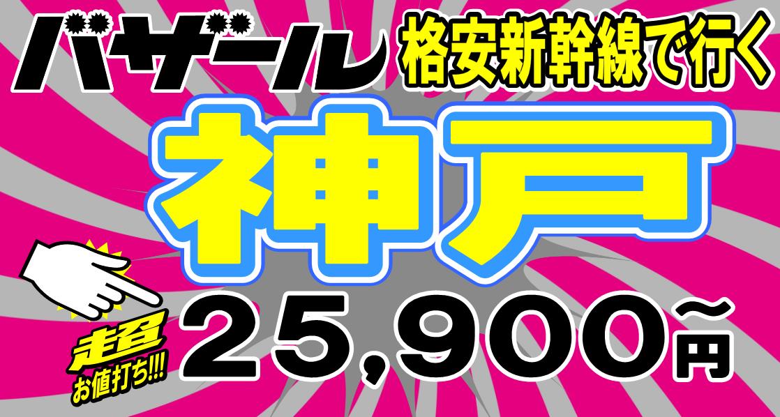 �_�ˊi���V�����c�A�[